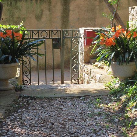 Villa Miomir ドゥブロブニク 部屋 写真