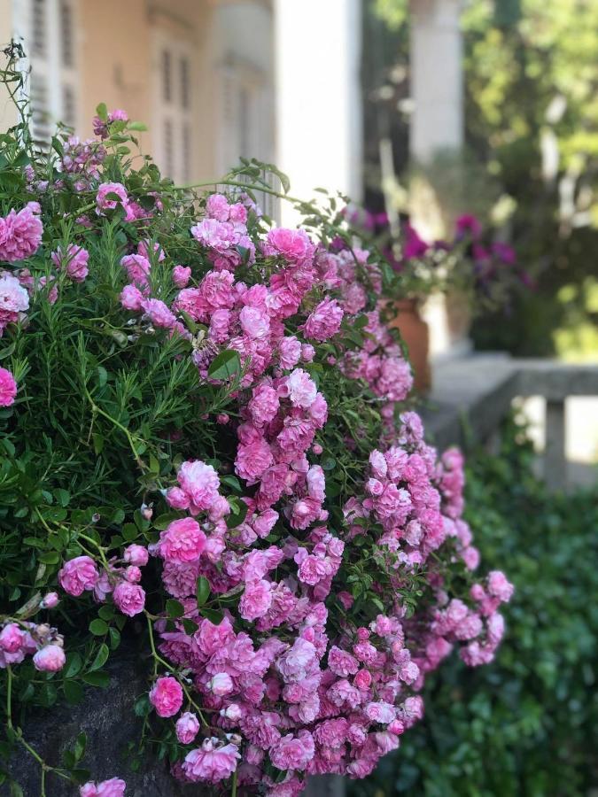 Villa Miomir ドゥブロブニク エクステリア 写真