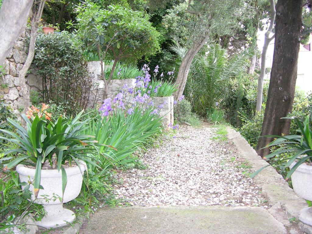 Villa Miomir ドゥブロブニク エクステリア 写真